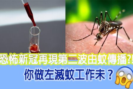 Masterclean-環保滅蟲服務 ULV 超低量噴霧方案 解決蚊蟲困擾