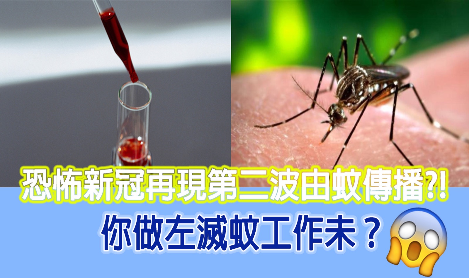 Masterclean-環保滅蟲服務 ULV 超低量噴霧方案 解決蚊蟲困擾