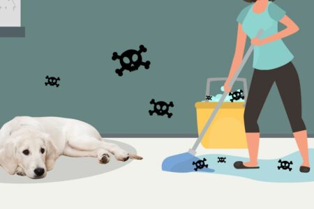 Masterclean-家居清潔大掃除 空氣消毒 AHP快速霧化消毒