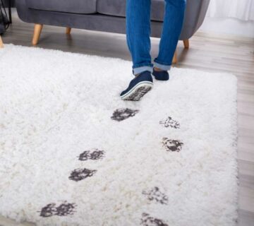 Masterclean-地毯清潔 吸塵 去污 刷洗 脫水抽污 消毒