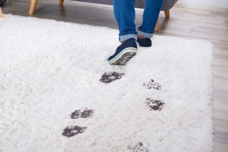 Masterclean-地毯清潔 吸塵 去污 刷洗 脫水抽污 消毒