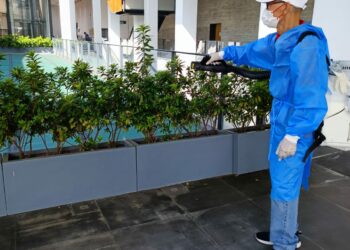 環保滅蟲服務| Masterclean