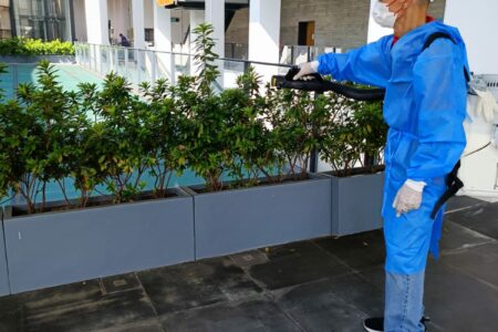 環保滅蟲服務| Masterclean