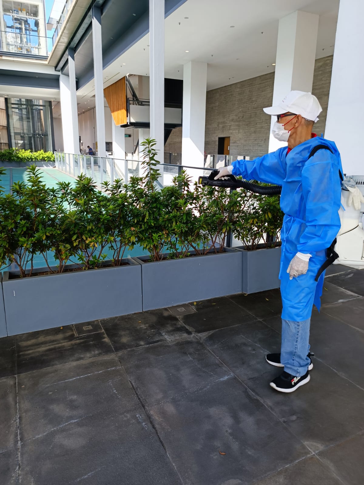 環保滅蟲服務| Masterclean