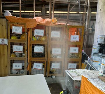 工地專業滅蟲服務| Masterclean