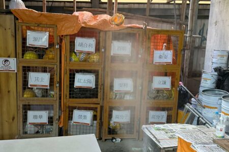 工地專業滅蟲服務| Masterclean