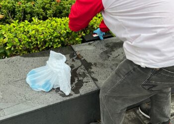 環保滅蟲服務| Masterclean 環保滅蟲服務| Masterclean