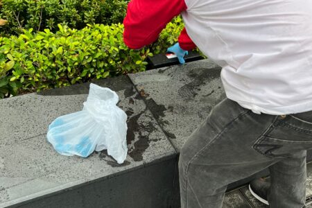 環保滅蟲服務| Masterclean