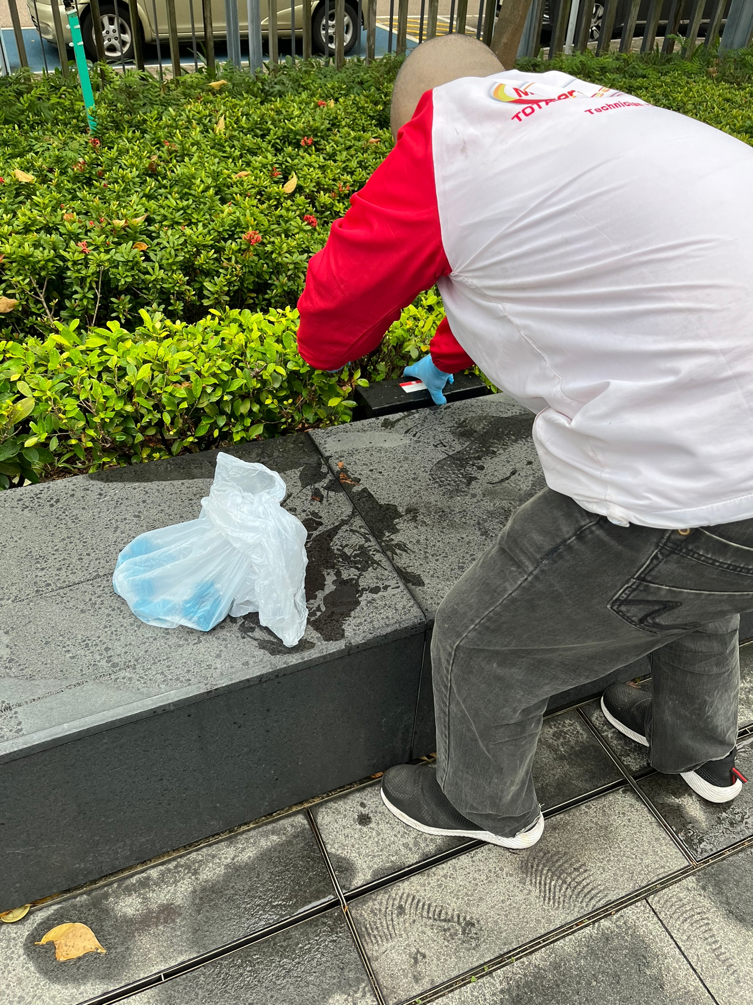 環保滅蟲服務| Masterclean