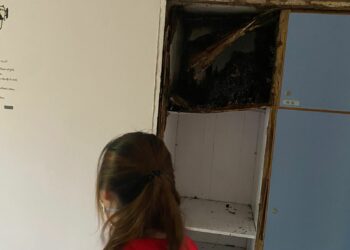 專業滅蟲服務| Masterclean