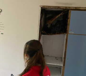 專業滅蟲服務| Masterclean