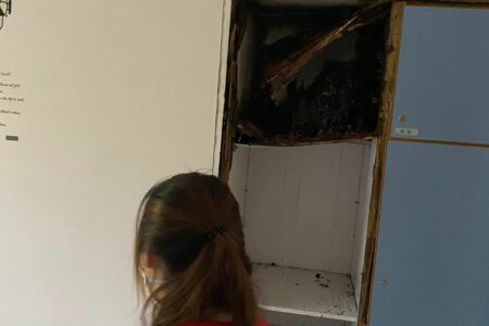 專業滅蟲服務| Masterclean