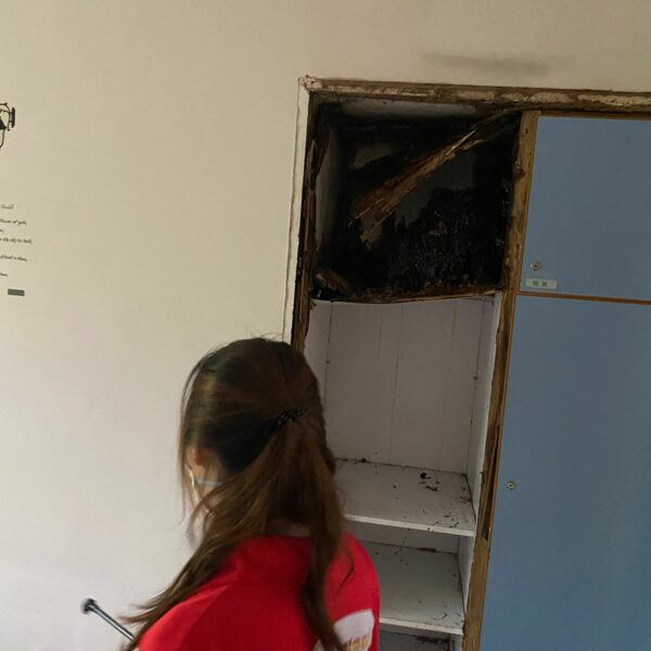 專業滅蟲服務| Masterclean 專業滅蟲服務| Masterclean