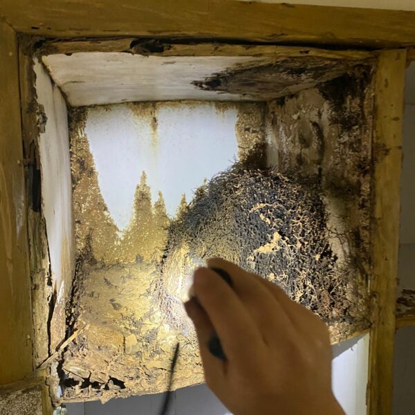 專業滅蟲服務| Masterclean 專業滅蟲服務| Masterclean