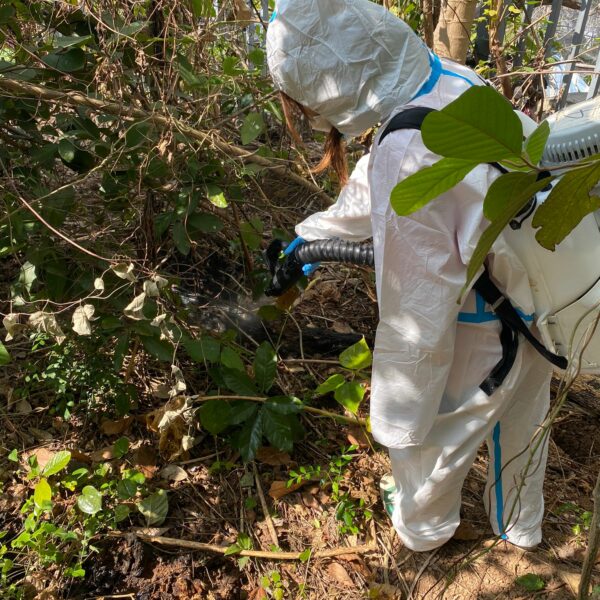 ULV 超低量噴霧滅蟲服務| Masterclean ULV 超低量噴霧滅蟲服務| Masterclean