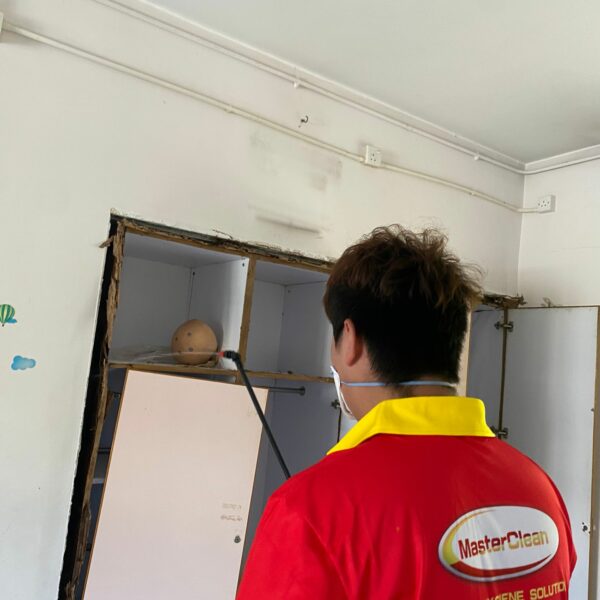 滅蟲服務| Masterclean 滅蟲服務| Masterclean