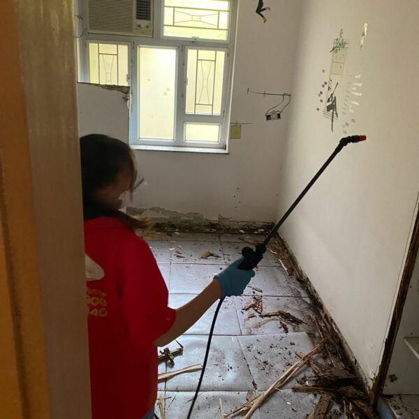 滅蟲服務| Masterclean 滅蟲服務| Masterclean