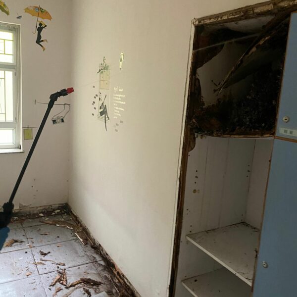 WhatsApp Image 2023-02-02 at 4.15.33 PM