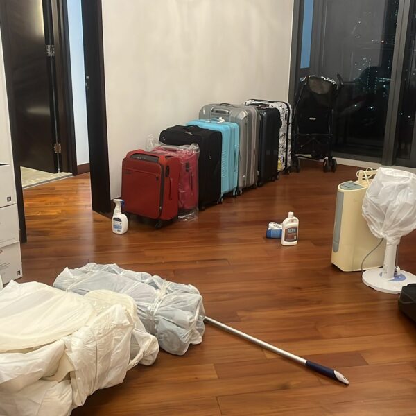 WhatsApp Image 2023-02-14 at 9.13.07 PM