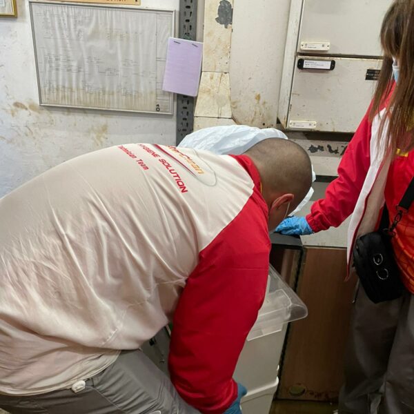 BRT智能捕鼠器專業捕鼠服務 | Masterclean