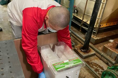 專業捕鼠滅鼠服務 | Masterclean