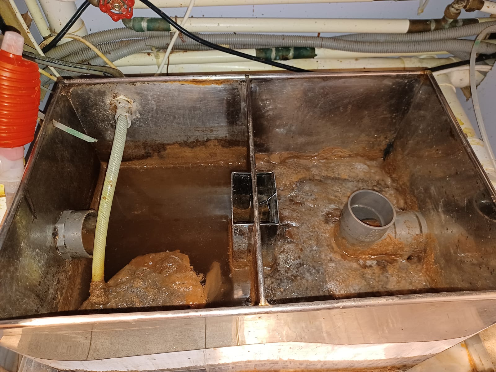 水池清潔| Masterclean