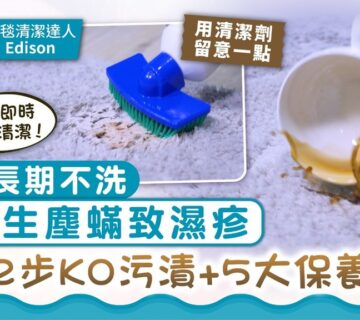 地毯清潔| Masterclean