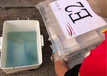 漁灣街市 - BRT智能捕鼠器滅鼠服務| Masterclean