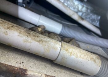 荃灣富邦銀行-天花板滅鼠消毒| Masterclean