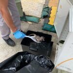 建築地盤 - BRT智能捕鼠器滅鼠服務 | Masterclean