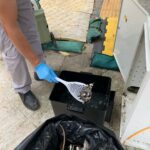 建築地盤 - BRT智能捕鼠器滅鼠服務 | Masterclean